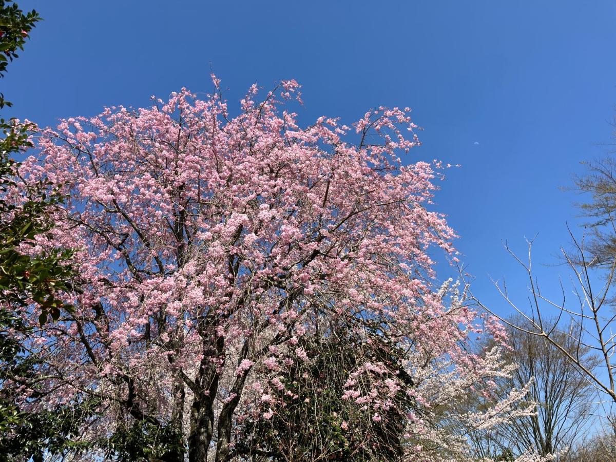 お宿でん吉 Minamiaso Экстерьер фото
